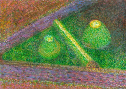 Perspectiva de Sérgio Prado do projeto para o Centro Cultural “Espaço Ecológico-Escultura” (1986)