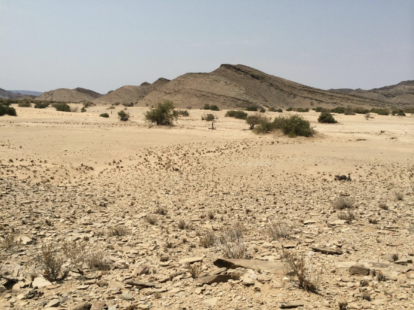 Rochas deformadas pela colisão continental na formação do Supercontinente Gondwana, Deserto da Namíbia (província de Sesfontein)  (4)