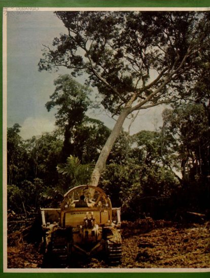 Revista Manchete. Rio de Janeiro: Edições 970, 1075, 1252 da década de 70. (Imagens extraídas do acervo da Biblioteca Nacional).