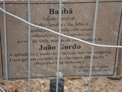 Placa fixada ao baobá João Gordo. (5)