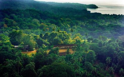 Roças (unidades de produção agrícola) nas florestas de São Tomé e Príncipe - Foto Divulgação/Got2Globe (3)
