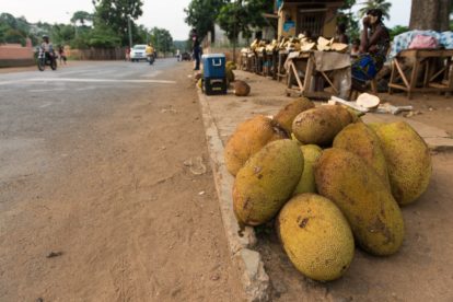 Comércio de Jacas nas ruas de São Tomé e Príncipe - Foto de Packing Light (6)