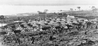 Entre o desmatamento e o Rio Tapajós, Fordlândia. (7)
