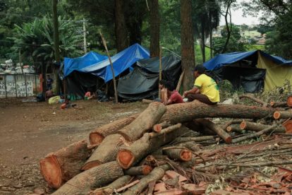 Ocupação junto das árvores cortadas pela Tenda S.A. Foto: Julia Dolce/Agência Pública. (3) 