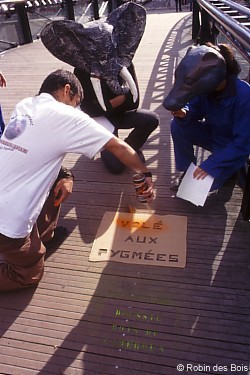 Madeira tropical, Bruno Manser, Rennes, França 1998 (3)
