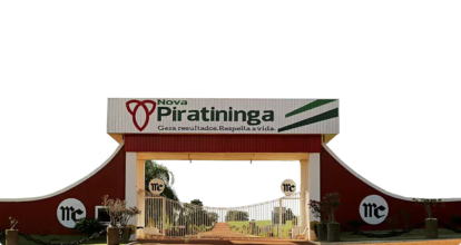Montagem - Foto: Divulgação/Fazenda Nova Piratininga (1)