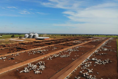 Fazenda Nova Piratininga - Divulgação/VEJA. (2)