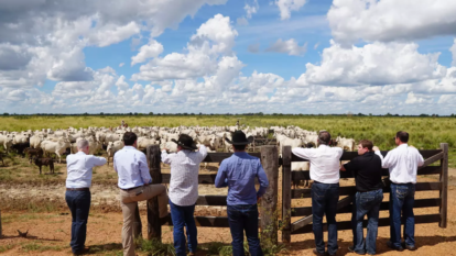 Canadenses visitam a Fazenda Nova Piratininga e avaliam seus investimentos - Foto: Divulgação. (5)