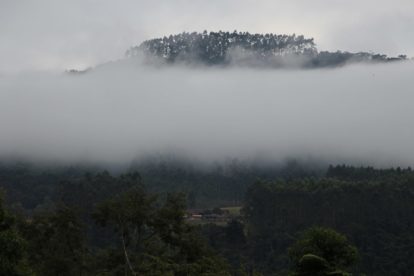 Vista da Terra Indígena Ibirama-La Klãnõ - Foto de Renato Santana/Cimi (8)