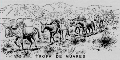Vida tropeira. Fonte: Portal Cerratense. (2)