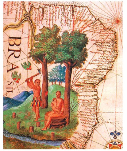 Atlas do português Sebastião Lopes, de 1565, representando o Pau-Brasil na América do Sul. (4)