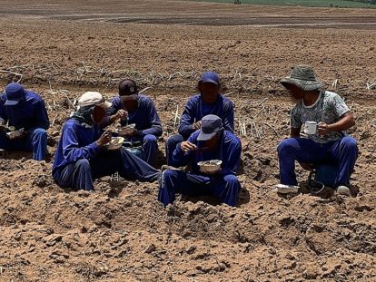 Comendo no chão sob o sol, vítimas foram atraídas por falsas promessas de boas condições de trabalho – MTP. (6)