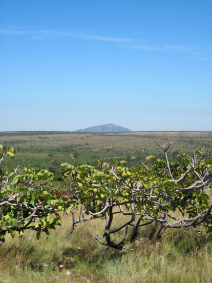 Foto: Érico Melo