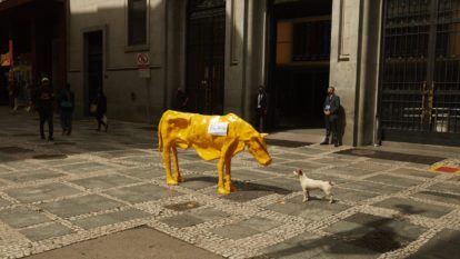 Vaca magra na bolsa de valores de SP, Márcia Pinheiro. (1) 