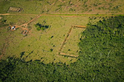 Desmatamento revelando um geoglifo no sítio arqueológico JK, em Acrelândia (AC). Foto: Maurício de Paiva (1)