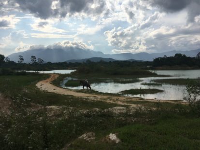 Fotos: Frank Müller