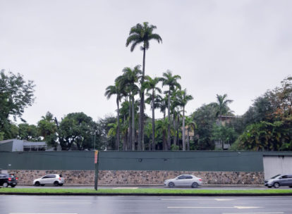 Palmeiras Imperiais no condomínio de luxo Jardim Pernambuco, Rio de Janeiro Foto: Ana Luiza Nobre