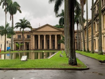 Palmeiras Imperiais no Palácio do Itamaraty, Rio de Janeiro Foto: Victor Vaccari