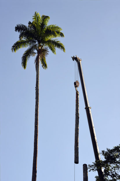  Exposição Tombo de Rodrigo Braga, Casa França Brasil, Rio de Janeiro, 2015 Fonte: https://rodrigobraga.com.br/tombo