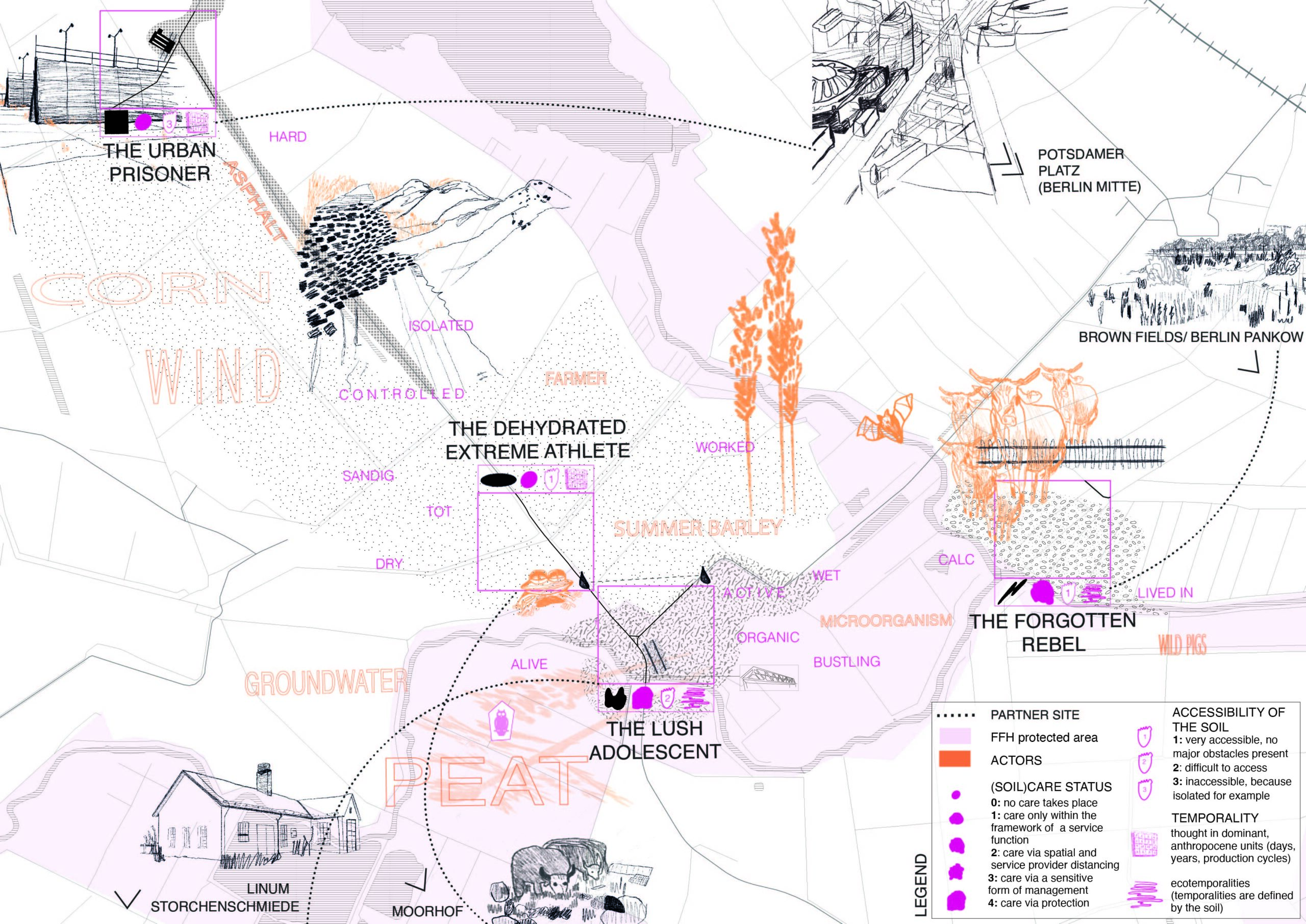 Soilmap of the Rhinluch (own representation)