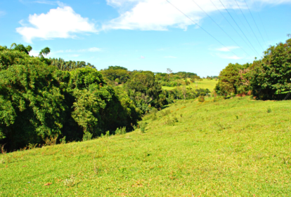 Nascente do Gregório, Sítio Santo Antônio, 2018. Foto: Acervo CDCC USP (2) 